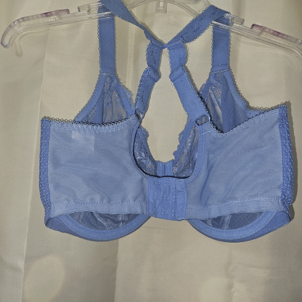 Elomi, Curvey Kate and More! In Red, Blue, Green, and Purple. (6) Size: 34K - Picture 6 of 16